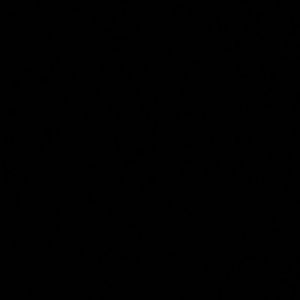 Meet your Posher, Lakia